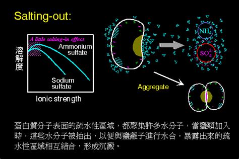 鹽燈頭暈 水分析